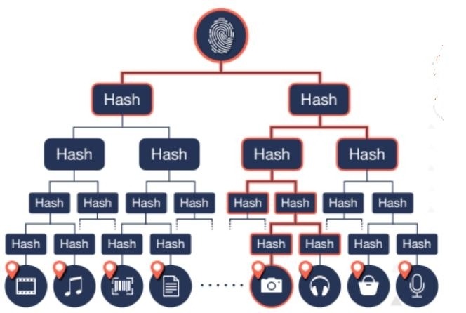 ITM_Transaction_Positioned_Markle_Tree