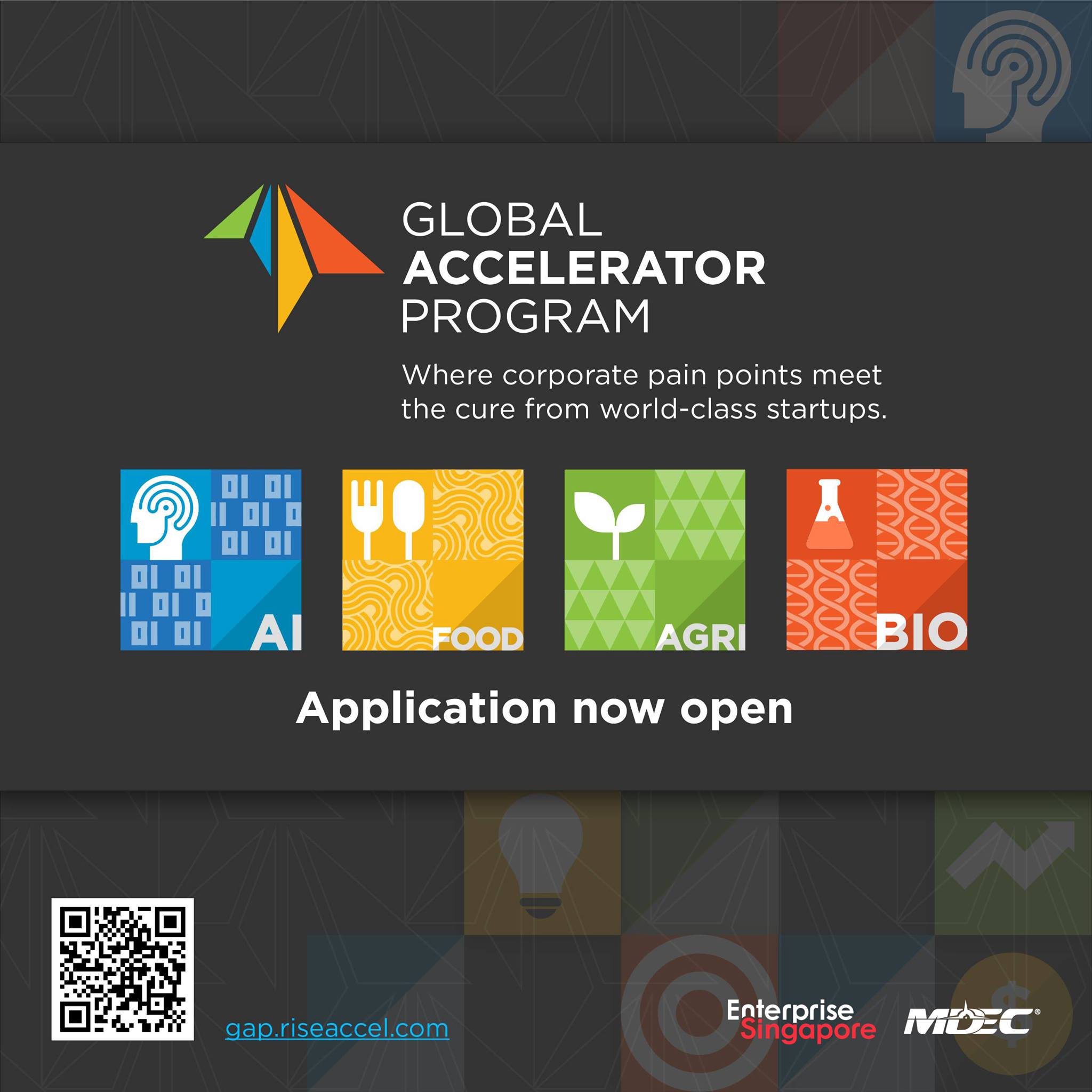 RISE 2020 Global Accelerator Program- Great opportunity to expand your business to Southeast Asia