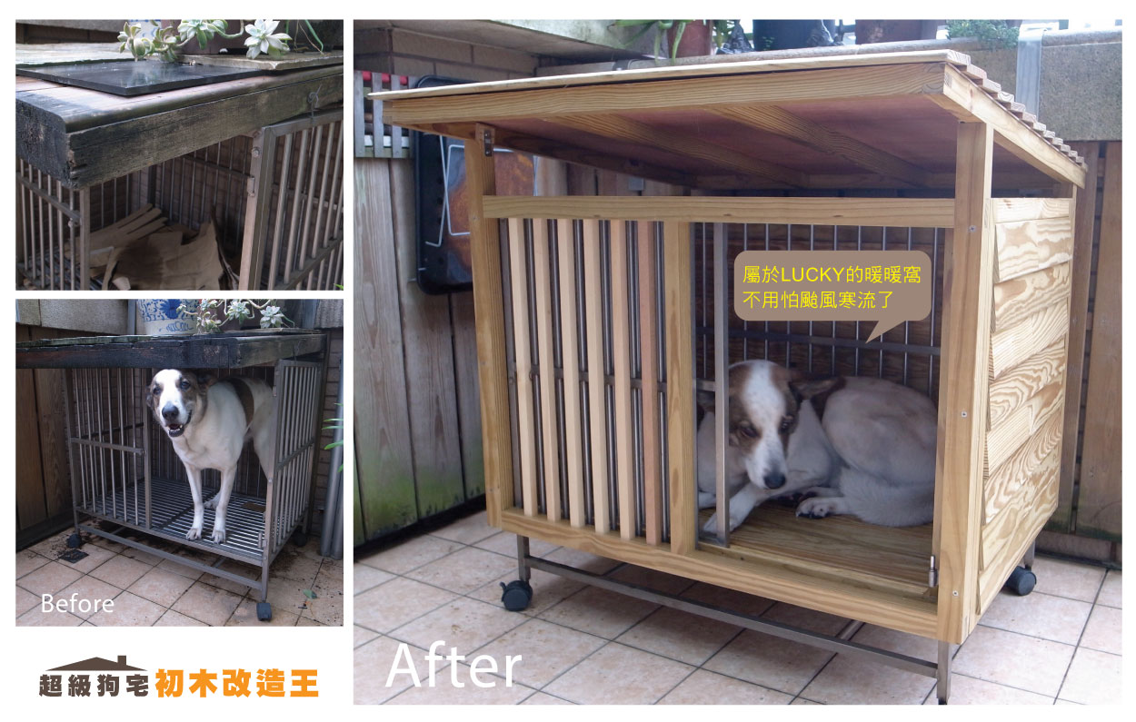 狗屋大改造