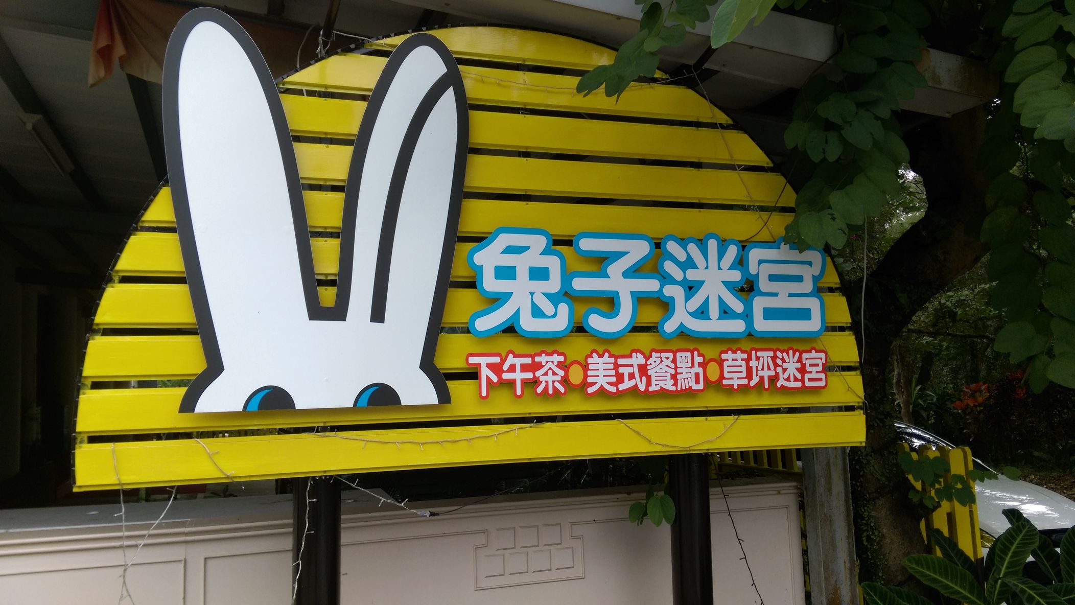 兔子迷宮