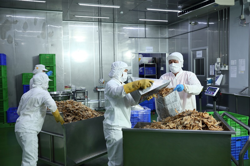 110年度「破殼而出企業」數位專題文章_2