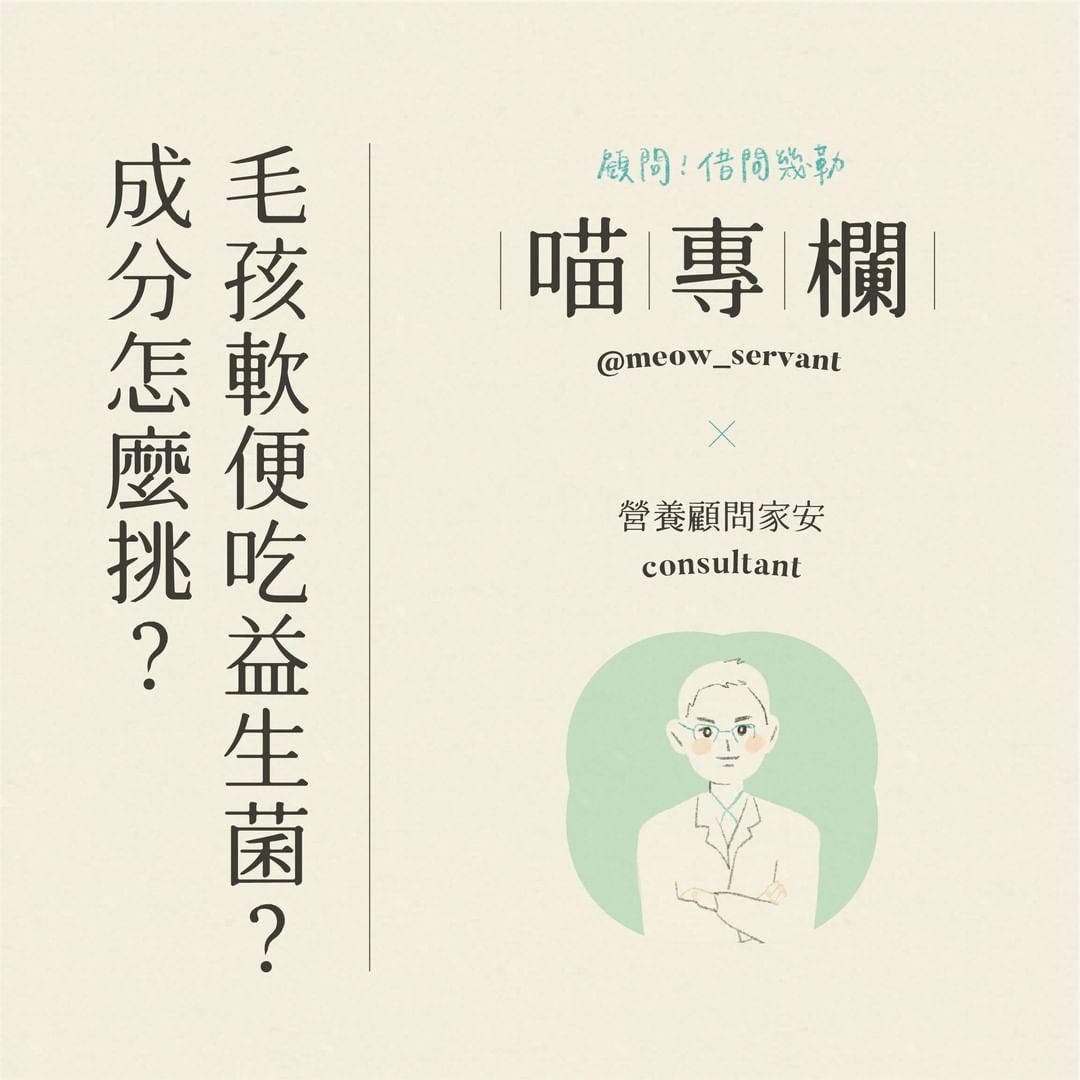 逆風飛翔2
