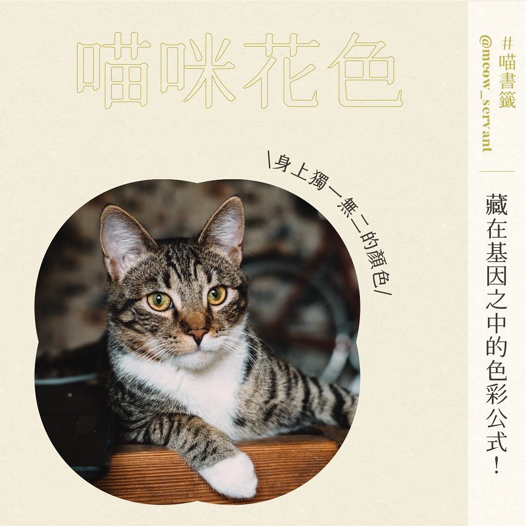 逆風飛翔3