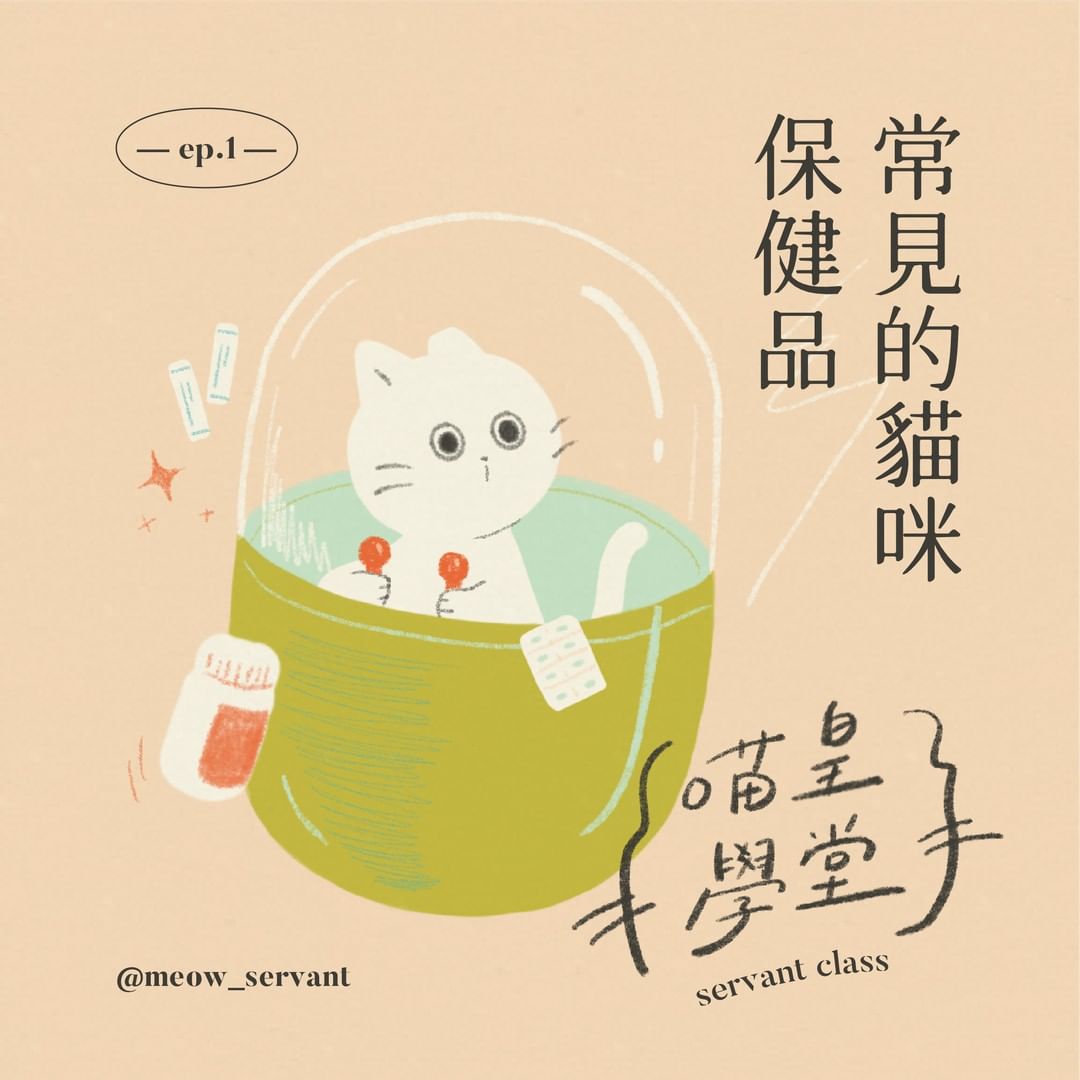 逆風飛翔1