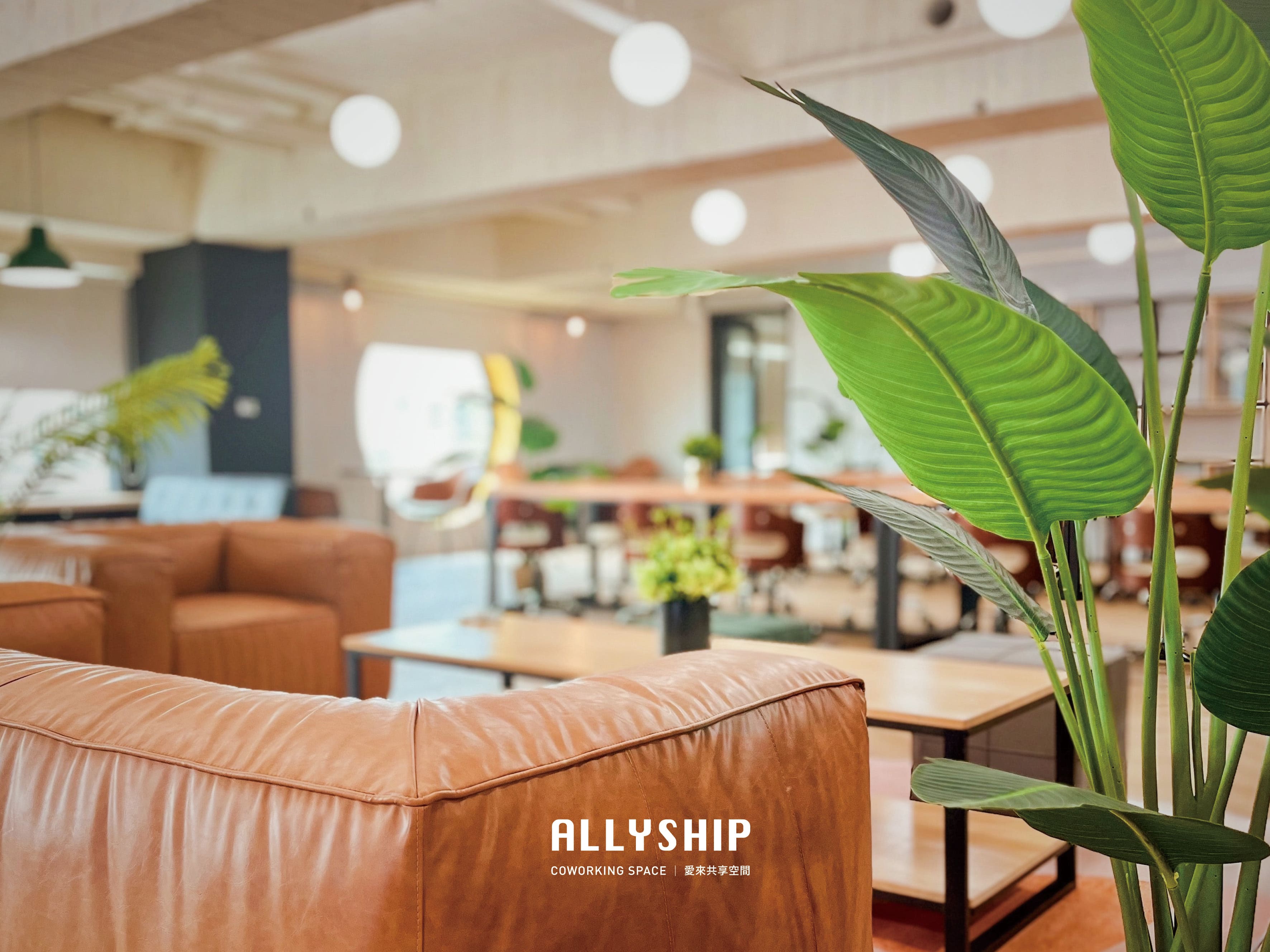 Allyship愛來共享空間_1