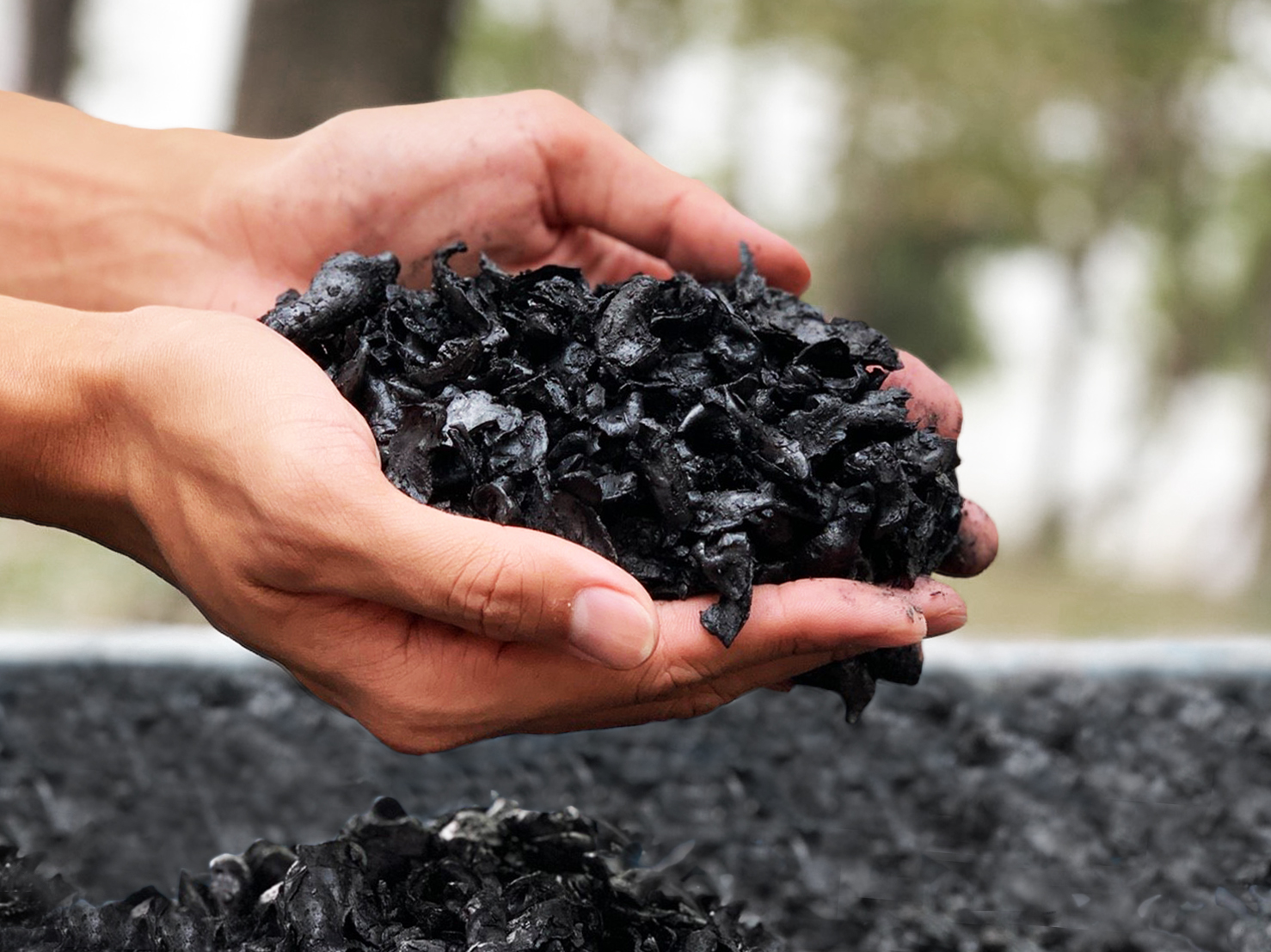 圖二、那顆炭將廢棄菱角殼轉化成烏金菱殼炭