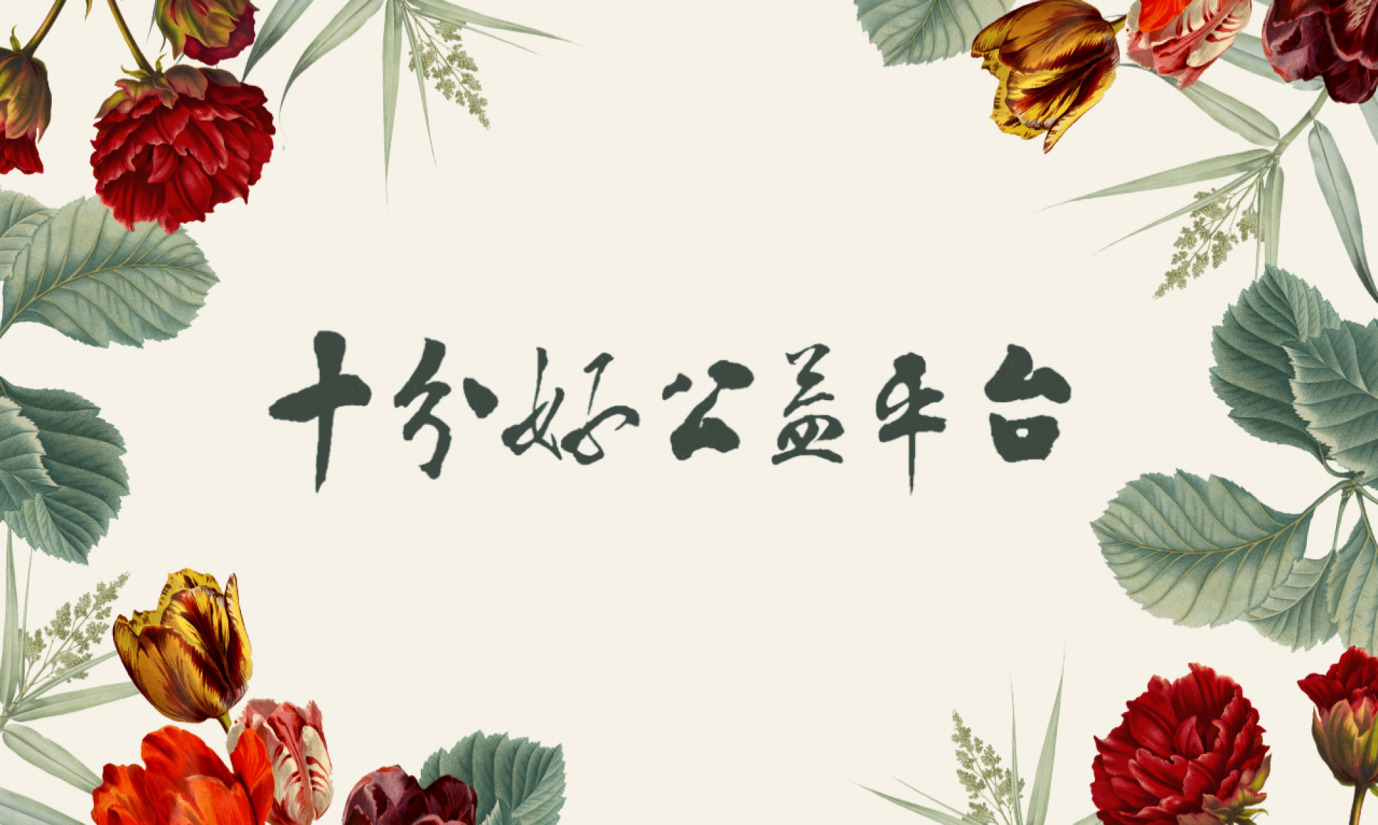 十分好公益平台.png