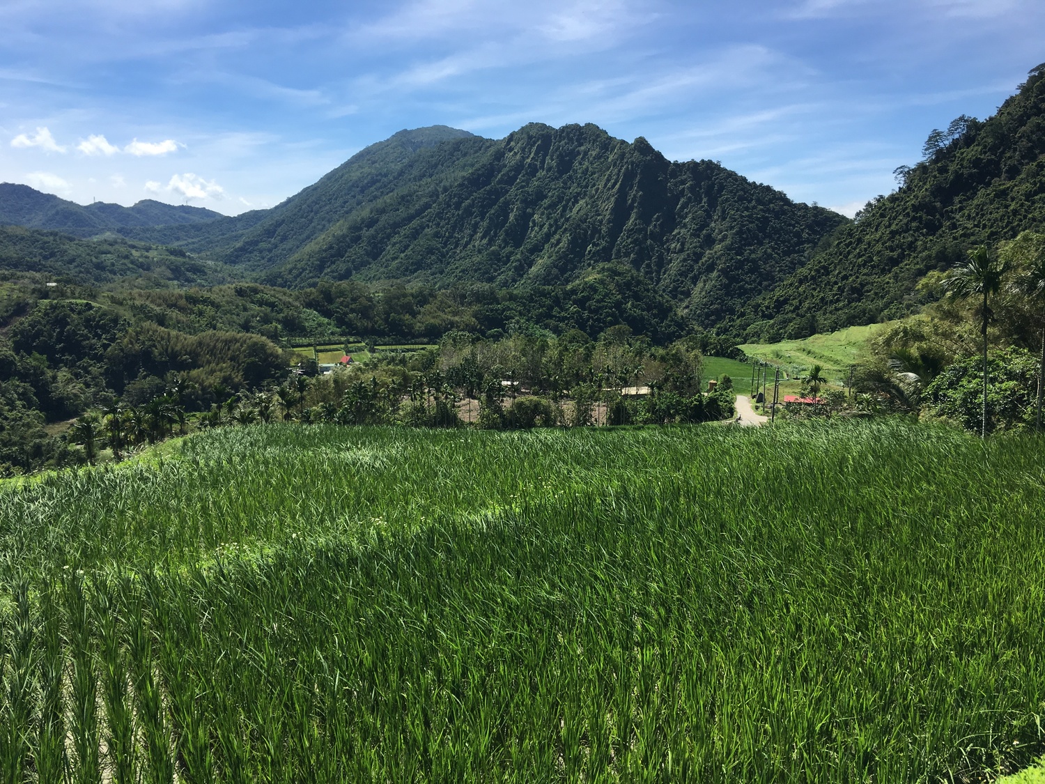 【圖3 花蓮富里鄉豐南村吉哈拉艾文化景觀是臺灣東部典型的「森-川-里」里山地景】